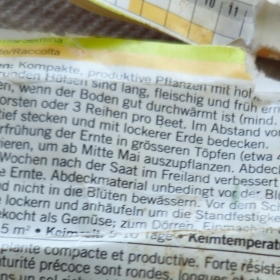 BuschbohnenAnleitung 2026-07-23 12.58.